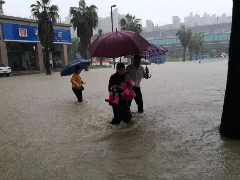 2017年11号台风尼格：风雨同舟，共迎美好未来！