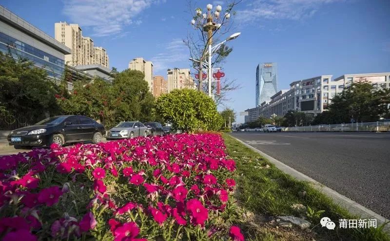 贵港花田盛景，四季繁花绽放新篇章