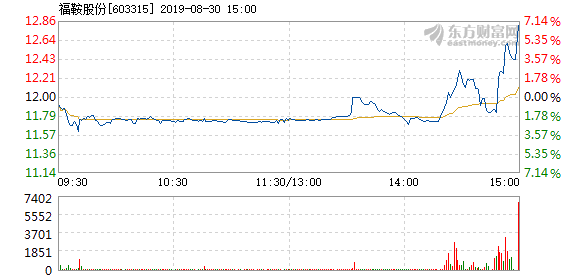 福鞍股份最新资讯揭晓