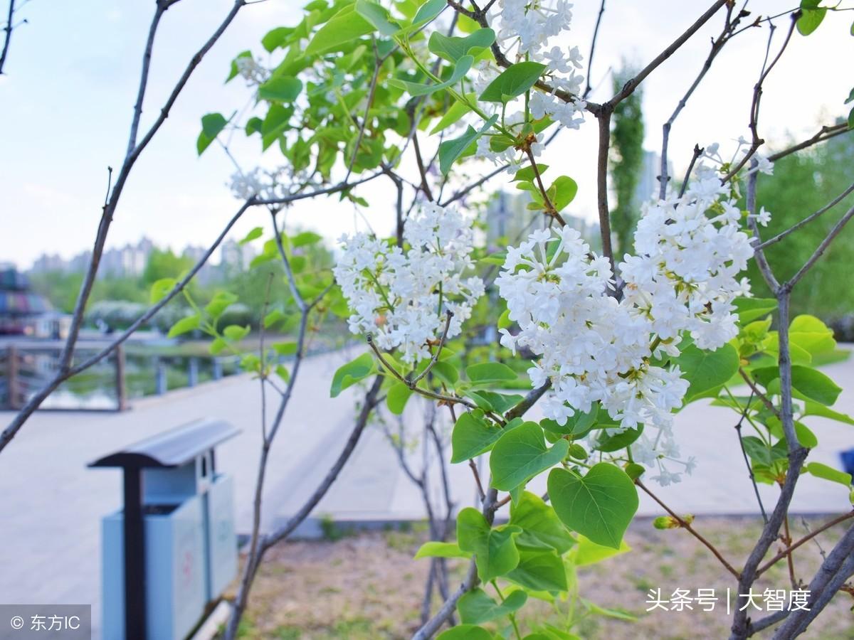 “落花网新上映影视大全”