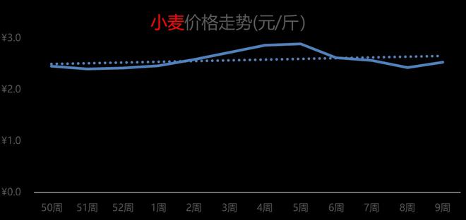 济宁最新小麦市场价格动态