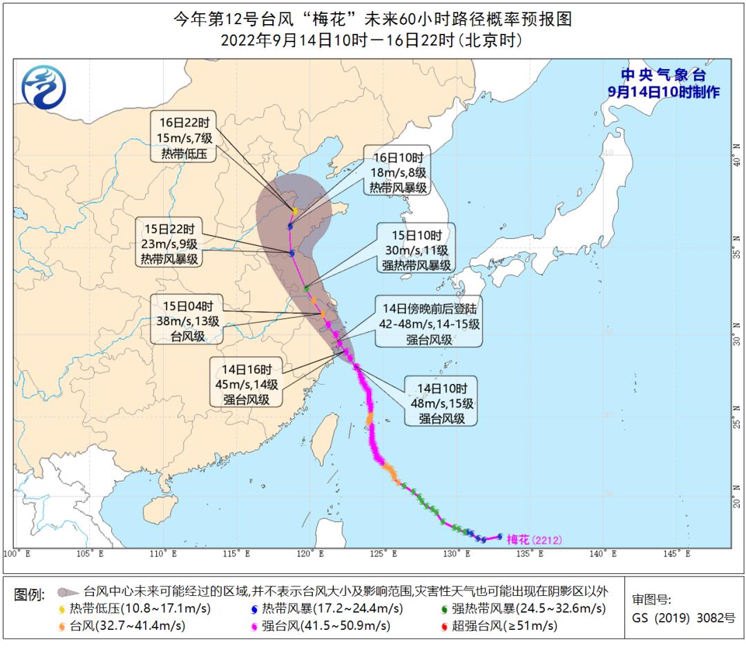 本年度最新台风资讯速递