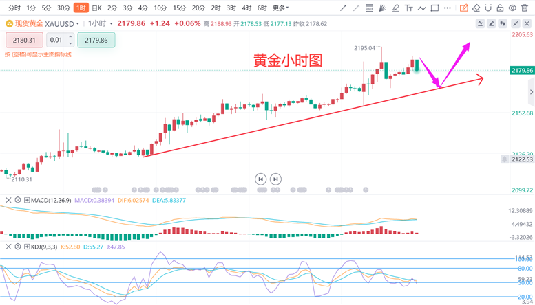 实时黄金价格动态走势图解析