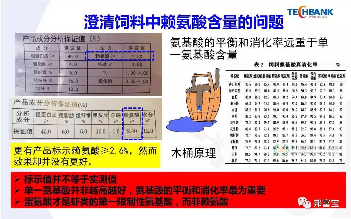 高邮罗氏沼虾最新动态揭秘：最新资讯一览无遗