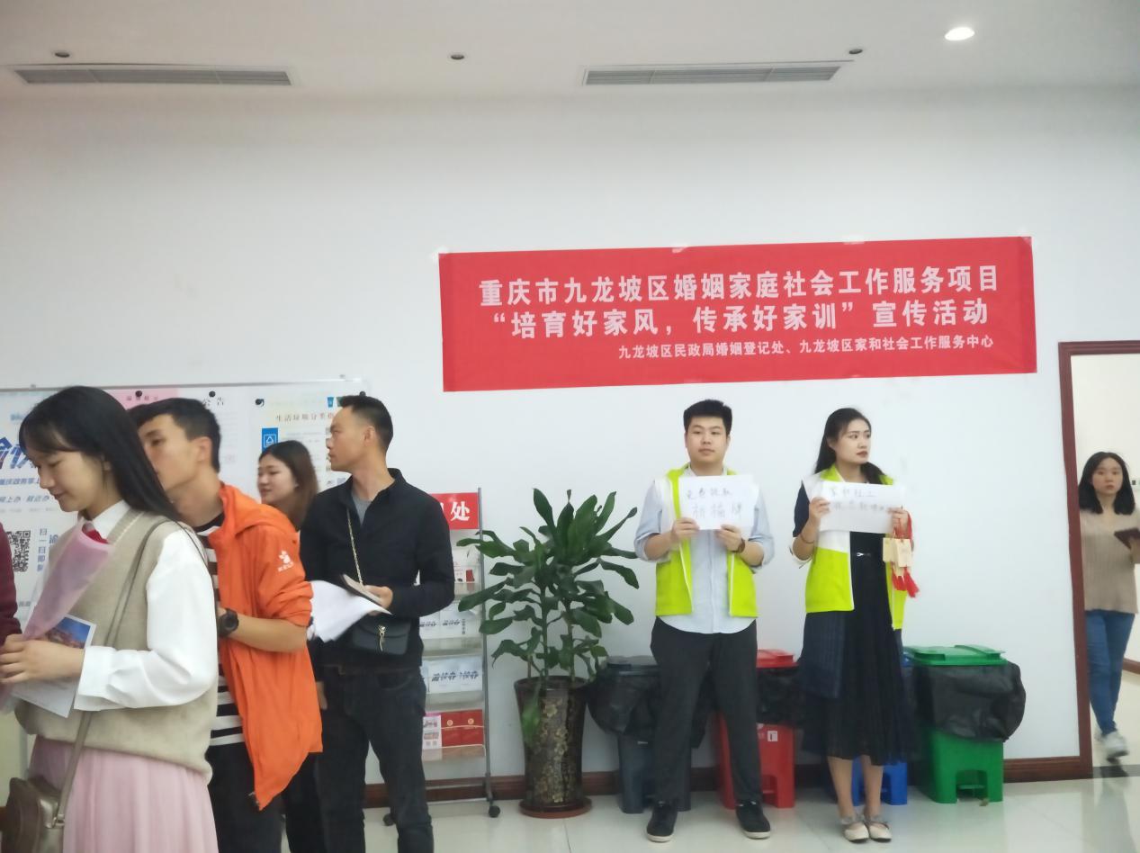 前沿动态聚焦——九妹社区最新资讯集锦