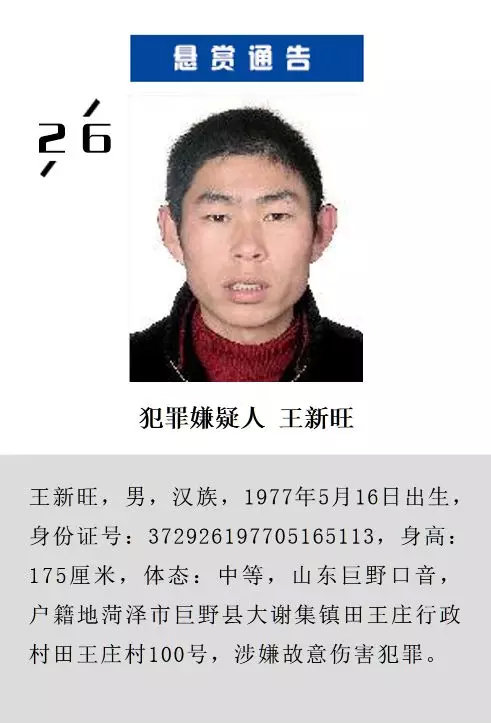 紧急追捕！山东东平地区最新发布通缉令，揭秘神秘通缉犯身份！