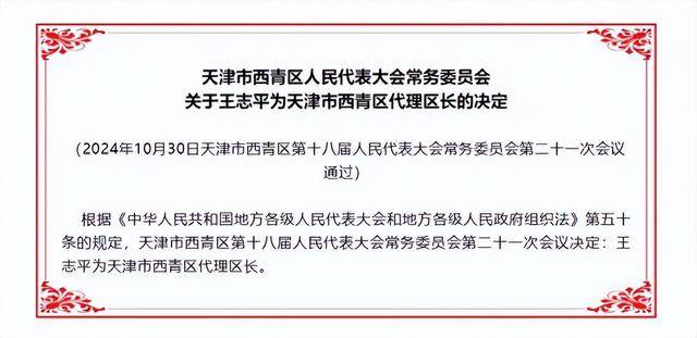 武清区最新人事任免动态一览