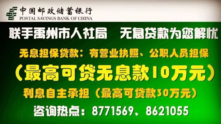 桐乡洲泉镇最新人才招聘信息汇总发布