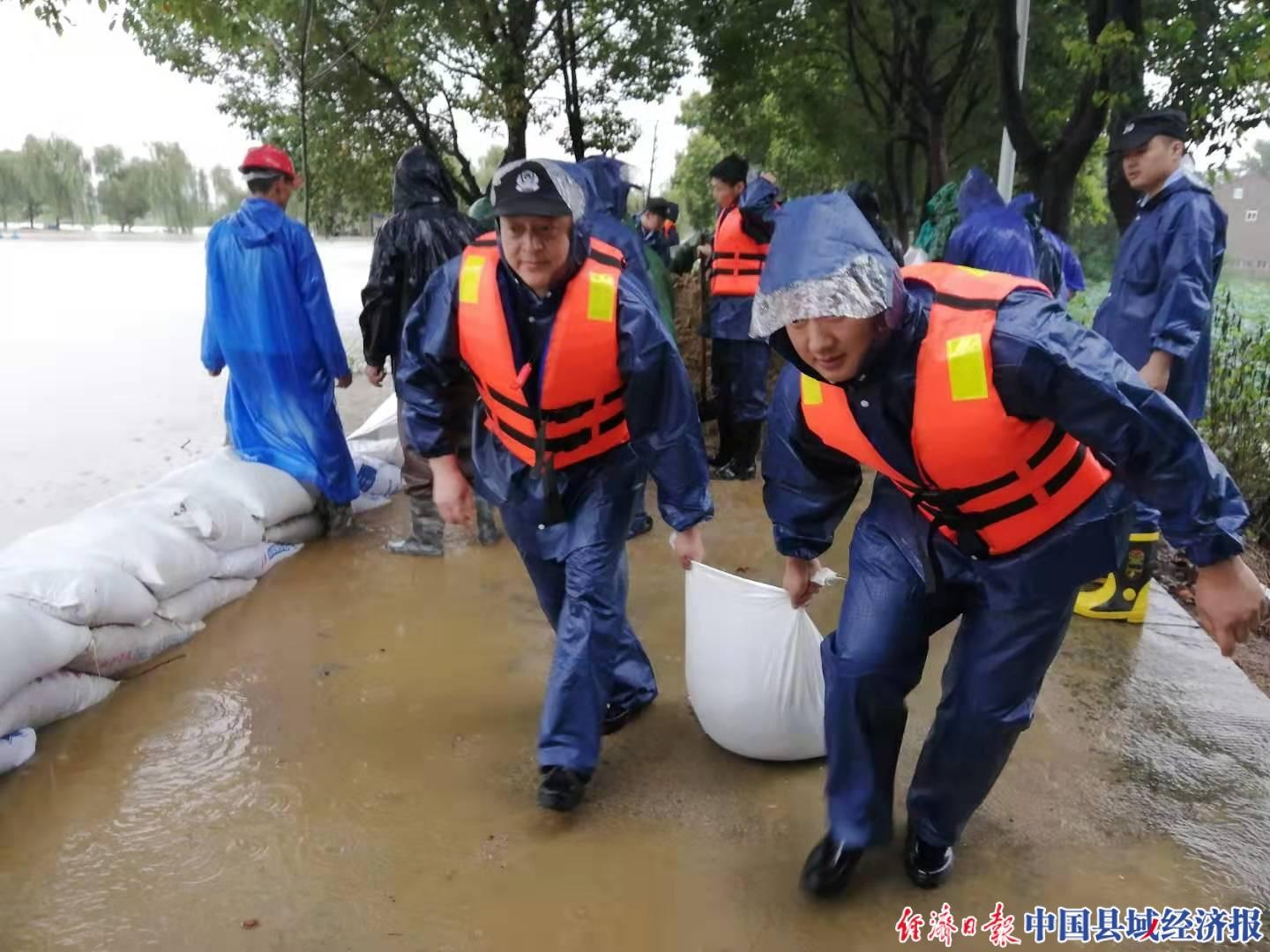 肥西县花岗镇实时资讯速览：最新发展动态全解析