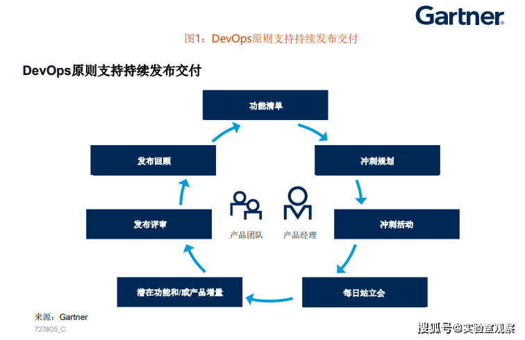 2025年度全新石龟市场报价一览表