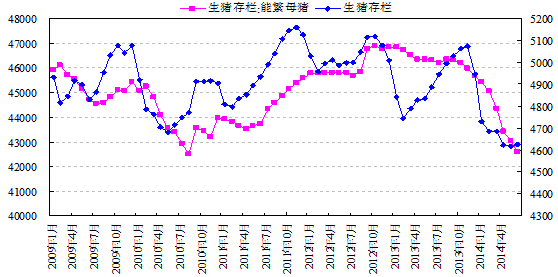 今日肥城优质玉米市场价格行情一览