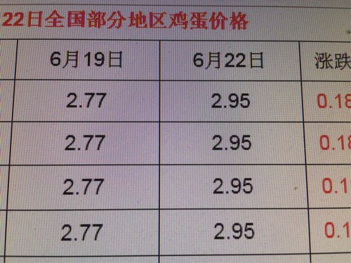 今日鸡蛋市场价格动态一览